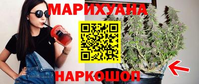 крисы Будённовск
