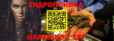 крисы Будённовск