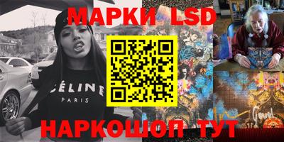 крисы Будённовск