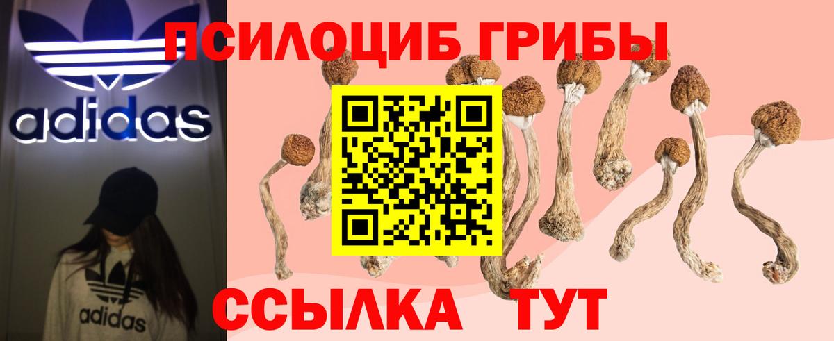 Псилоцибиновые грибы Psilocybine cubensis  Вход с VPN  Барабинск 